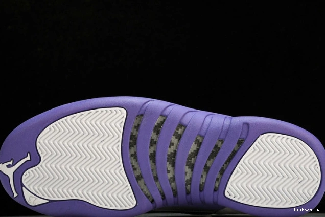 Purple CT8013-150 Retro Jordan 12 1231